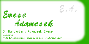 emese adamcsek business card